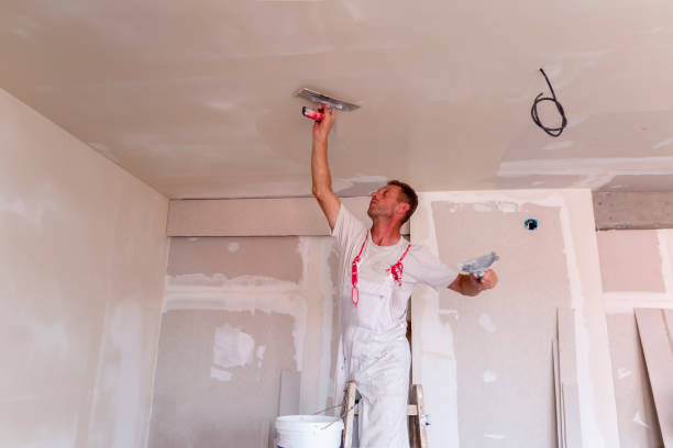 Best Water-Damaged Drywall Repair  in Liberty, PA